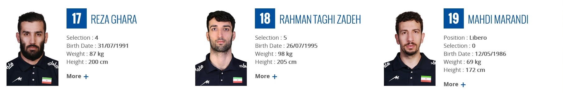 バレーボール男子イラン代表2017